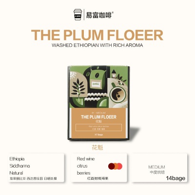 THE PLUM FLOEER DRIP COFFEE