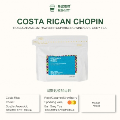 COSTA RICAN CHOPIN（Musician Series）