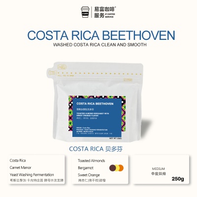 COSTA RICAN BEETHOVEN（Musician Series）