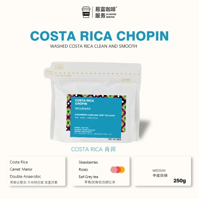 COSTA RICAN CHOPIN（Musician Series）